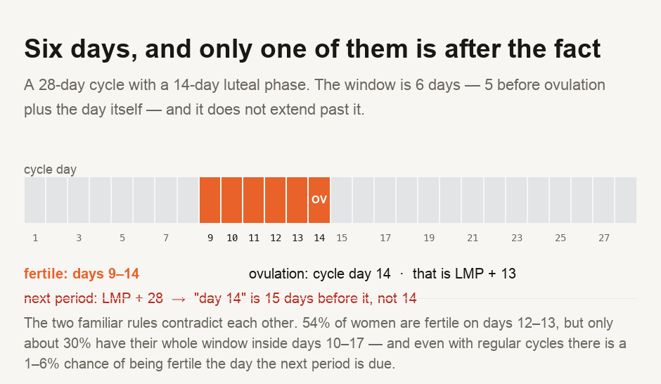 A 28-day cycle laid out day by day with a 14-day luteal phase. Ovulation falls on cycle day 14, and the fertile window is the six days from cycle day 9 to day 14 — five days before ovulation plus the day itself. The window does not extend past ovulation. Cycle day 14 is LMP plus 13, while the next period is LMP plus 28, so day 14 sits 15 days before the next period rather than 14. 54 per cent of women are fertile on days 12 to 13, only about 30 per cent have their whole window inside days 10 to 17, and even with regular cycles there is a 1 to 6 per cent chance of being fertile on the day the next period is due.