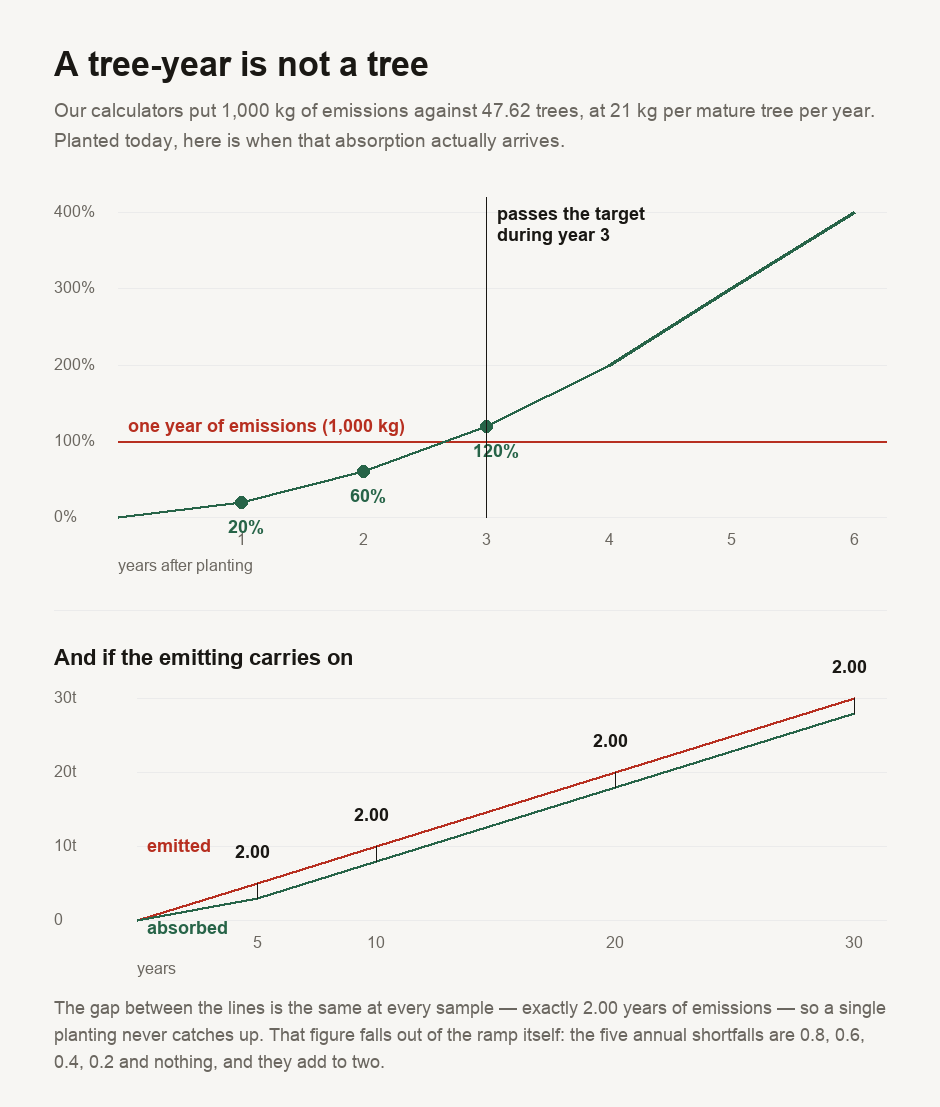 An analysis of tree-based carbon offsets computed from our own sustainability kernel. For 1,000 kilograms of emissions in a year, the tools quote 47.62 trees, based on a mature tree absorbing 21 kilograms per year. Because the kernel ramps a newly planted tree linearly to full uptake over five years, those trees deliver only 20 per cent of the target in year one, 60 per cent cumulatively by year two, and the cumulative total first passes one year of emissions during year three, at 120 per cent. A second panel shows what happens if emissions continue every year: after 5, 10, 20 and 30 years the shortfall is identical at exactly 2.00 years of emissions, so a single planting never catches up. The figures are scale-invariant, holding at 500, 2,000, 5,000 and 12,000 kilograms.
