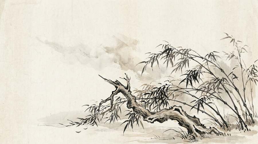 Bamboo bent to the ground by the storm and unbroken; the one snapped oak lies among it.