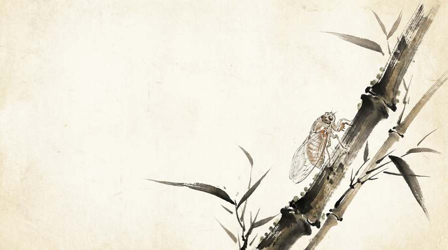 An empty cicada shell still gripping the bamboo, perfectly intact, the creature gone.