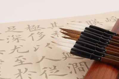 Close-up of Chinese calligraphy brushes arranged on paper with handwritten characters.