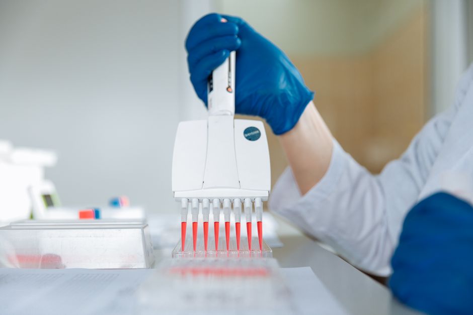 A gloved hand uses a multichannel pipette to dispense the same red solution into a row of identical wells.