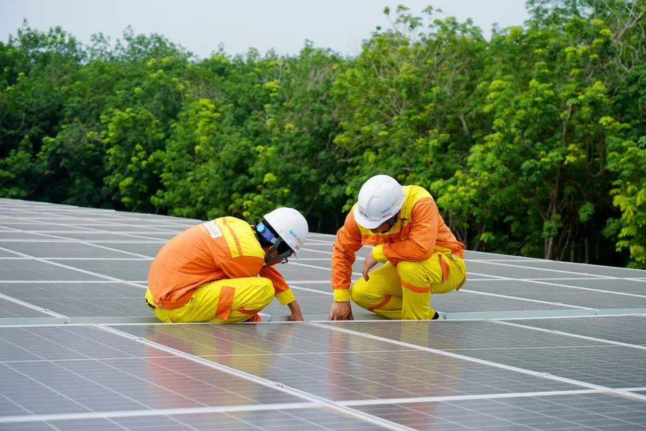 Two workers in hard hats inspect rooftop solar panels in front of tropical trees