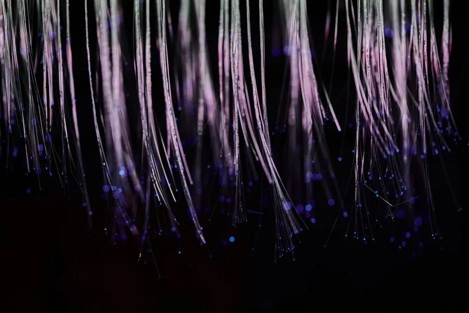 The Post-Quantum Migration Already Started, and Nobody Told You