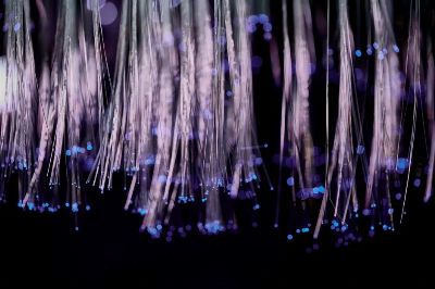 Close-up of glowing fiber optic lights with a purple and blue bokeh effect.