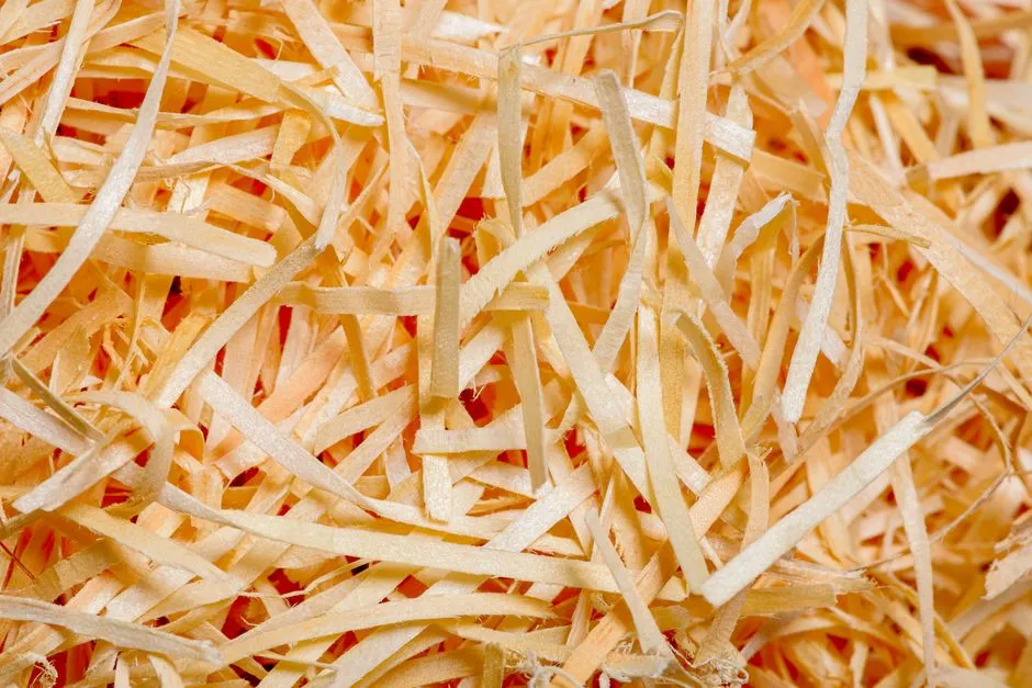 A close-up of shredded paper, illustrating a report on a GitLab flaw whose headline capability is deleting public projects.