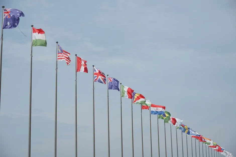 A receding row of national flags on poles against a pale sky