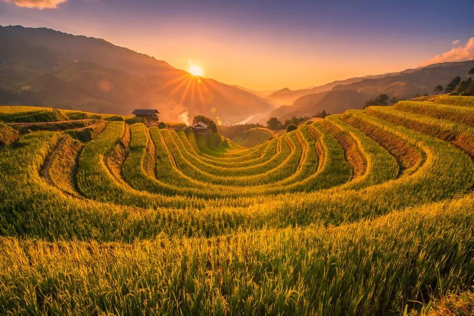 The sun sitting low in a gap between hills, throwing long light across curved terraced rice fields with a few farm buildings among them