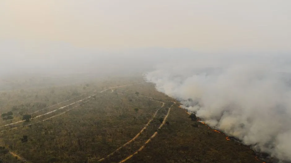 Singapore Serves Haze Notices on Seven Sumatran Firms. Three Got the Same Notice in 2015