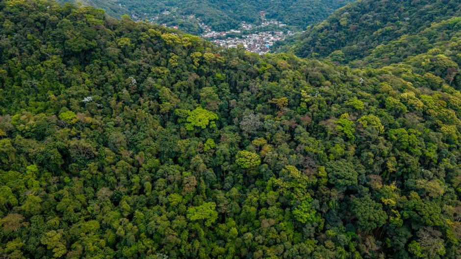 Hills covered in dense green forest under a clear sky