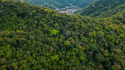 Aerial shot of dense tropical forest in Rio de Janeiro, Brazil, with a distant view of the city.