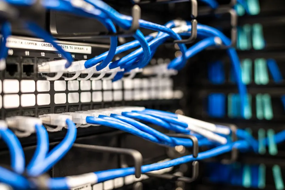 Blue network cables plugged into a server rack