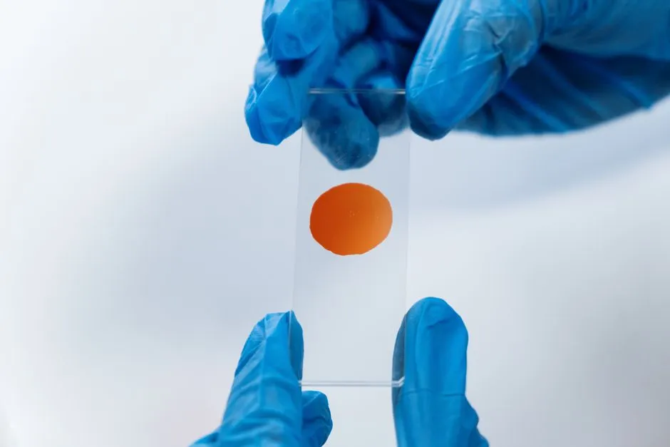 Two gloved hands holding a glass microscope slide up to the light, with a circular orange stained sample at its centre