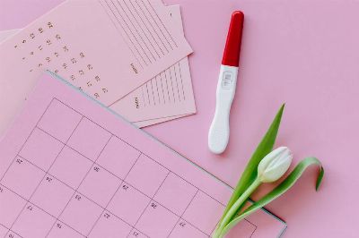A positive pregnancy test on a calendar with a tulip beside it on a pink background.