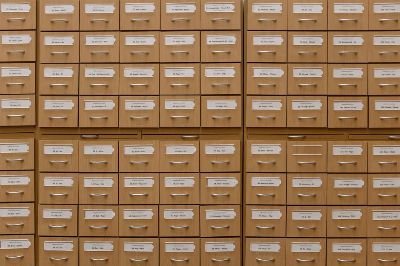 Close-up of labeled wooden storage drawers, perfect for organization concepts.