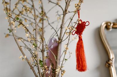 Red Chinese knot decoration hanging on a bare branch indoors, symbolizing luck for Chinese New Year.