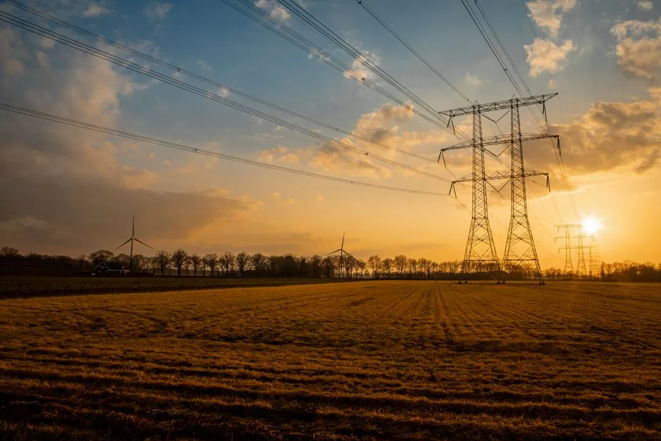 Electricity pylons and power lines across a field at sunset