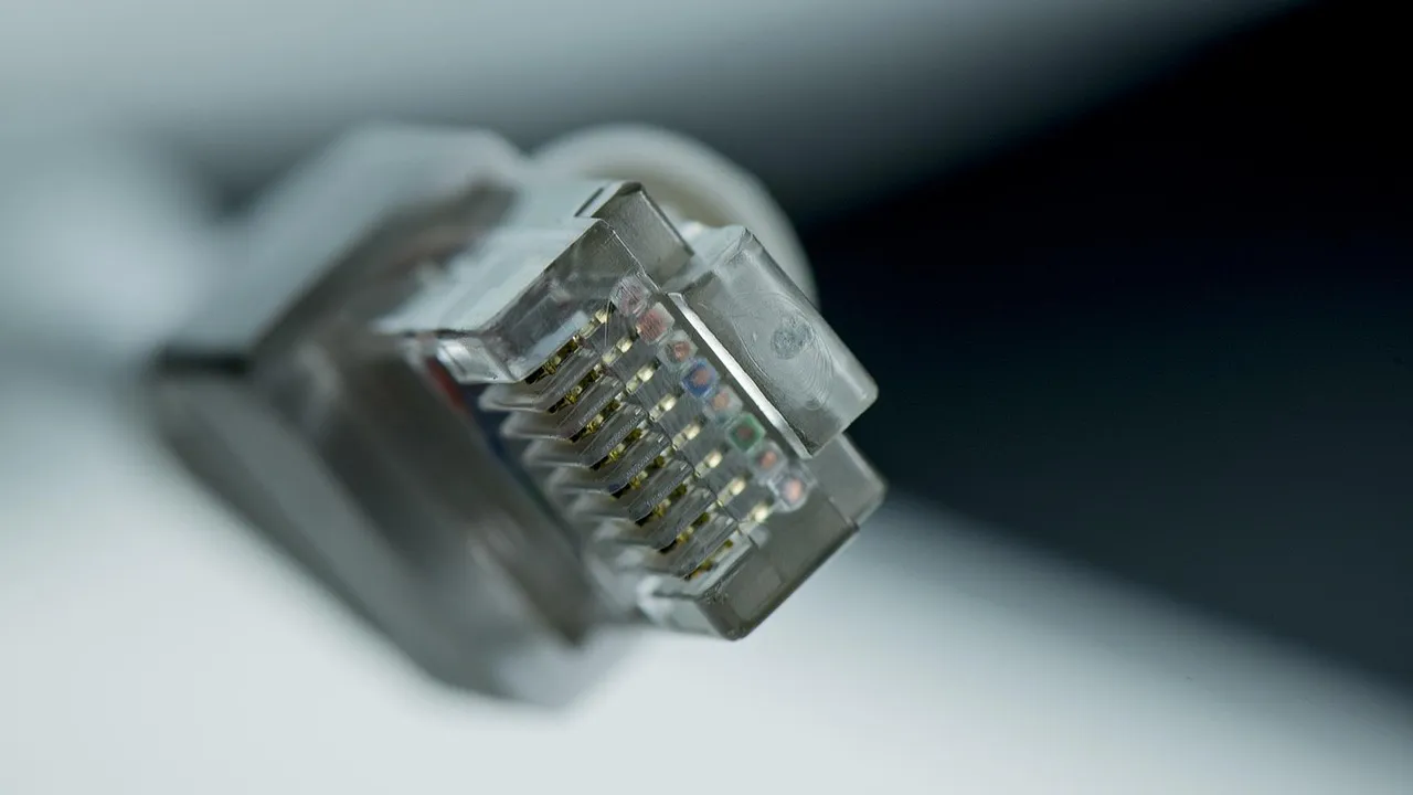 Macro photograph of an ethernet connector showing its contact pins, illustrating a report on an exploited privilege escalation flaw in the Windows networking interface.