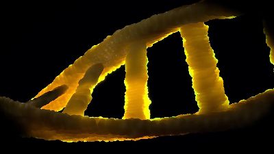 dna, dns, biology, heritage, double helix