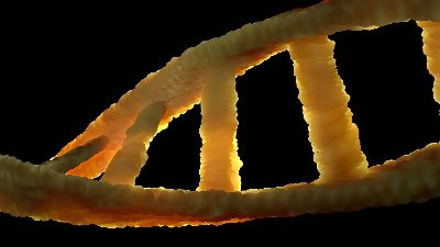 dna, dns, biology, heritage, double helix