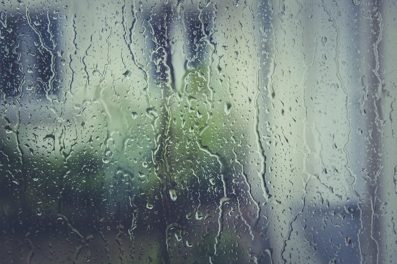 Singapore's humidity swings thirty points a day without the water changing