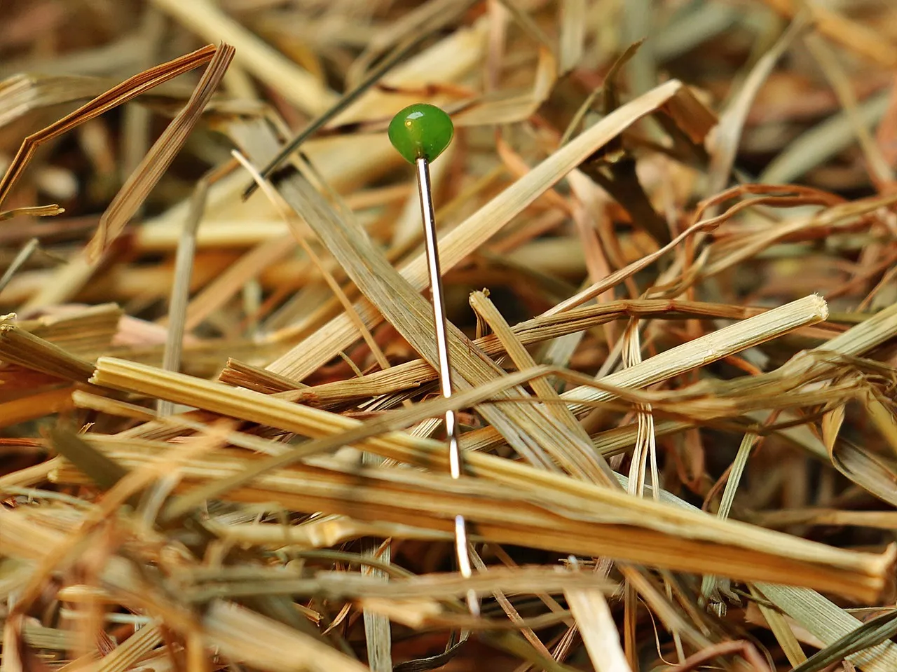 A single dressmaker's pin with a bright green head standing upright in a dense pile of dry straw, its thin steel shaft catching the light against the tangle of stalks around it.
