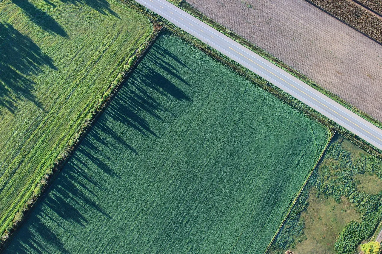An aerial view of farmland divided into distinct rectangular parcels of different sizes, separated by a road and field boundaries