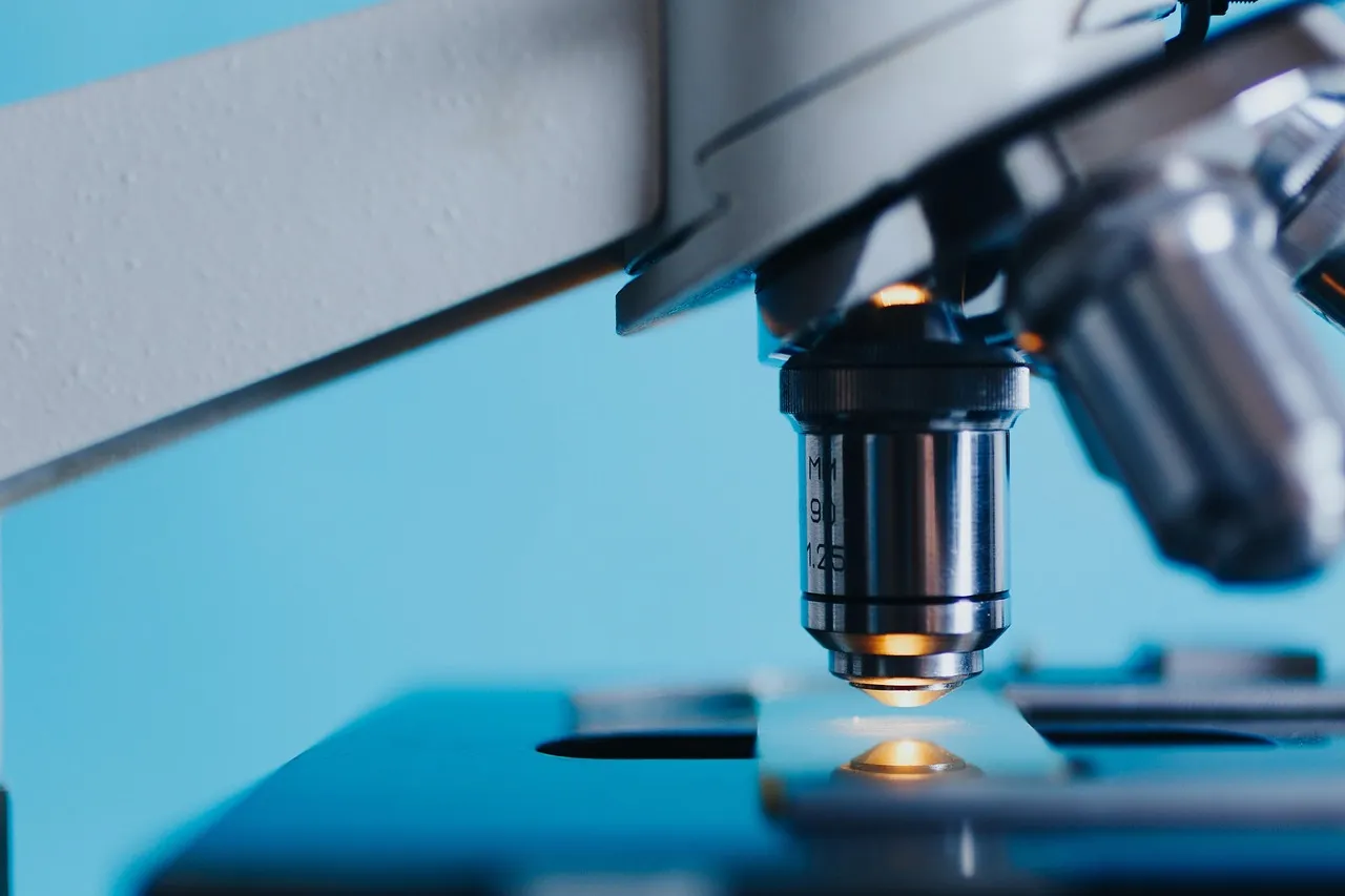The objective lens of a laboratory microscope lowered over an illuminated slide