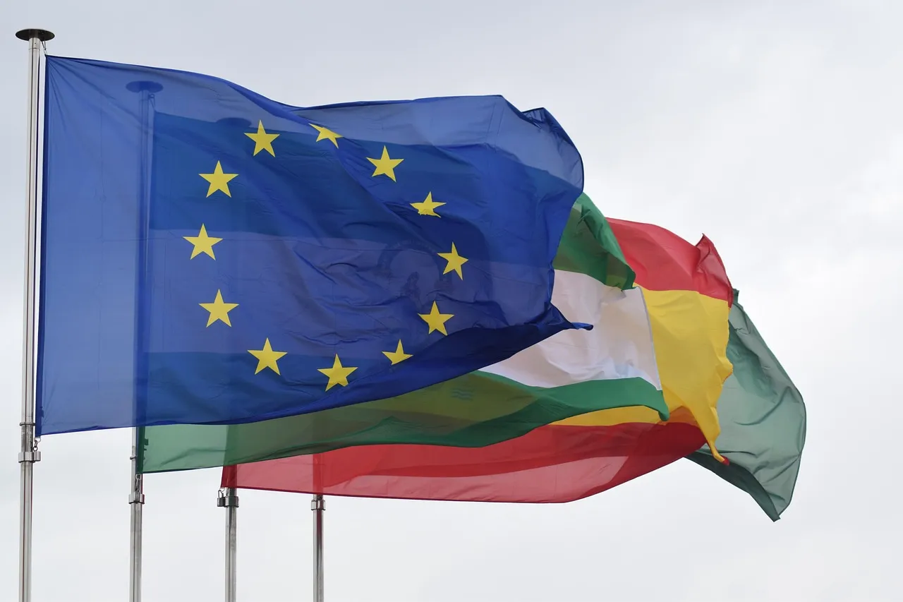 The blue European Union flag with its ring of twelve gold stars flying from a pole against an overcast sky, with other national flags rippling behind it.