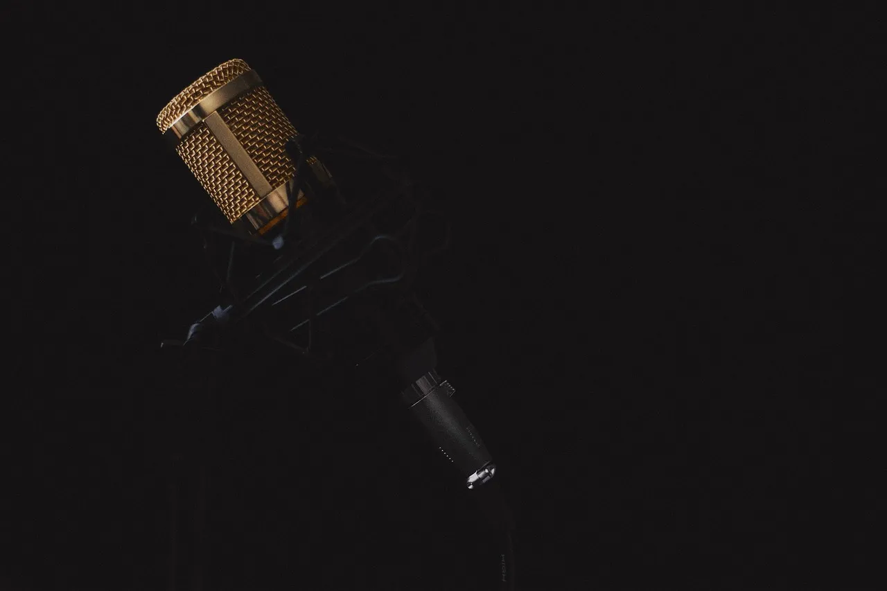 A studio microphone, representing the recorded voices that cloning systems are trained on