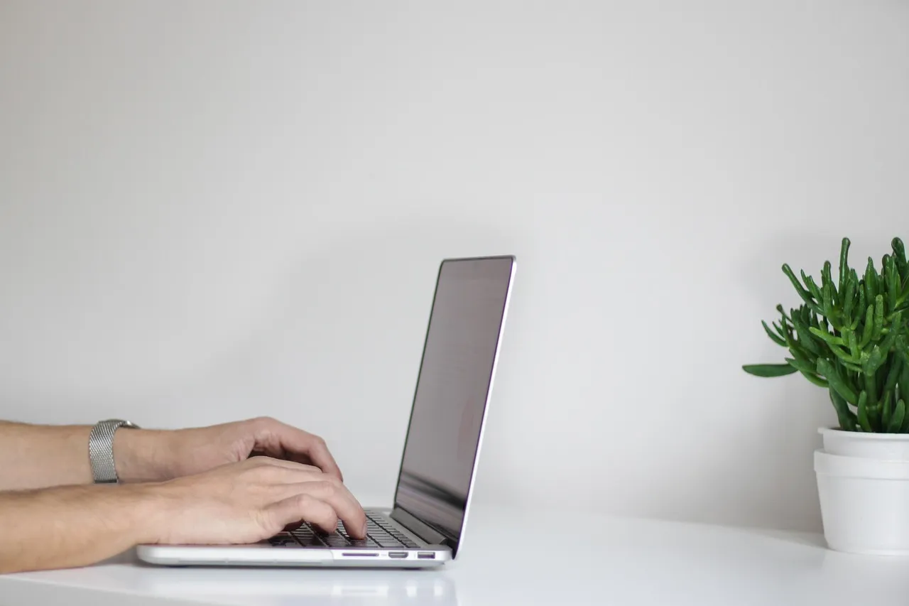 Hands typing at a laptop on a bare white desk beside a potted plant.