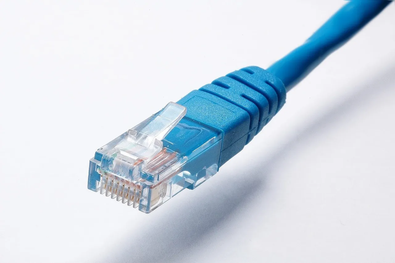 A blue network cable with an Ethernet connector