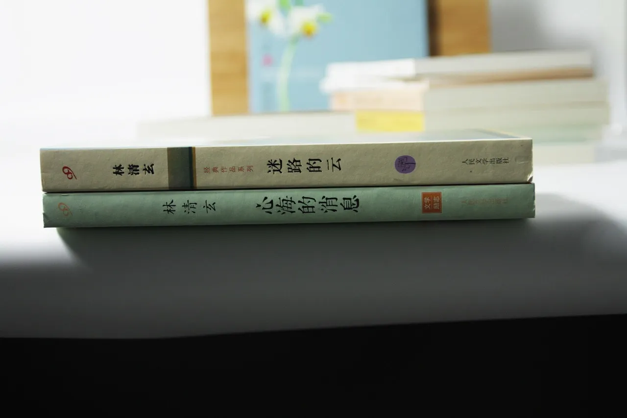 A small stack of books with Chinese titles on their spines