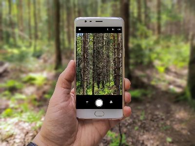 phone, photography, shot, forest, camera