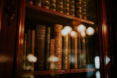 books, library, bookcase, bookshelves, novels