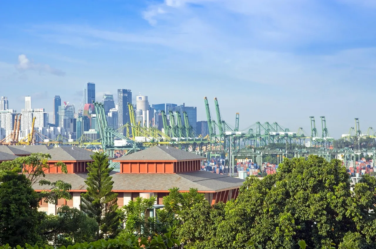 Container terminal cranes at Singapore's port with the central business district skyline behind