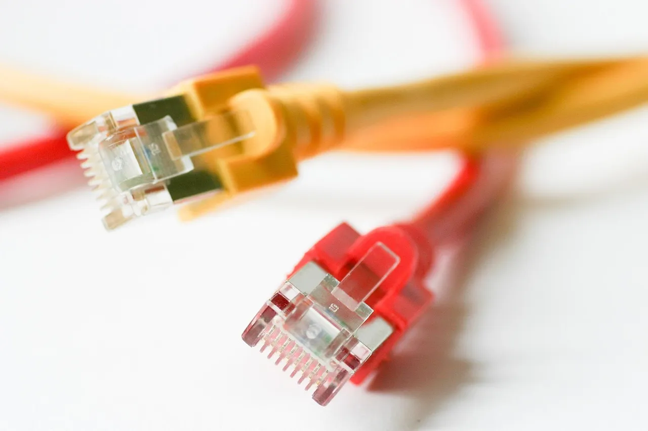 Close-up of red, orange and yellow network patch cables with their RJ45 connectors fanned out against a white background.
