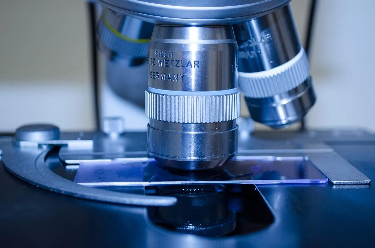 Illustrative: a microscope objective lens positioned over a glass slide on the stage, of the kind used to examine tissue sections.
