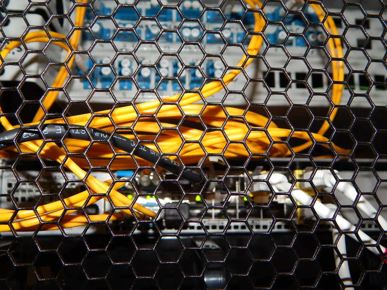 Server rack cabling seen through a perforated mesh door.
