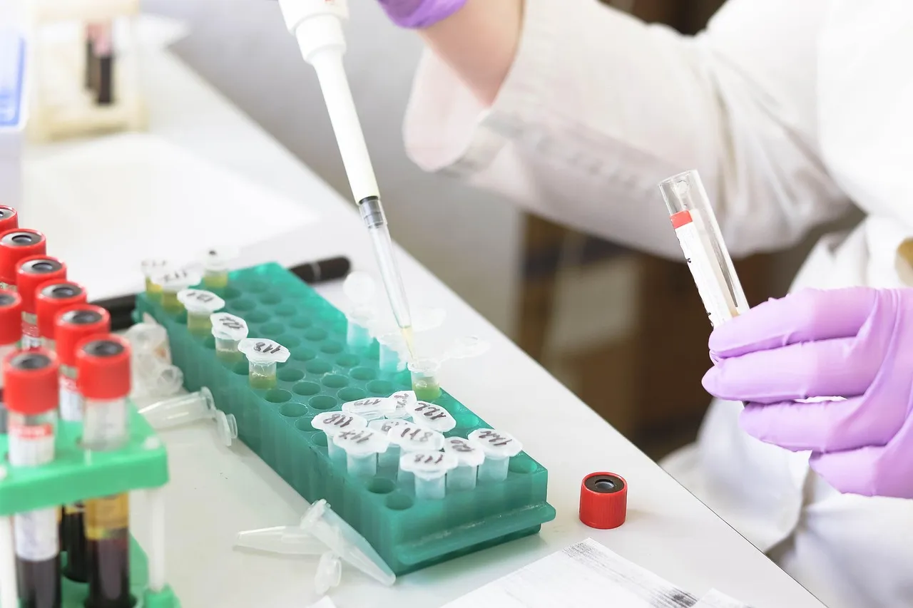 A gloved laboratory technician pipetting into racks of capped sample tubes on a bench