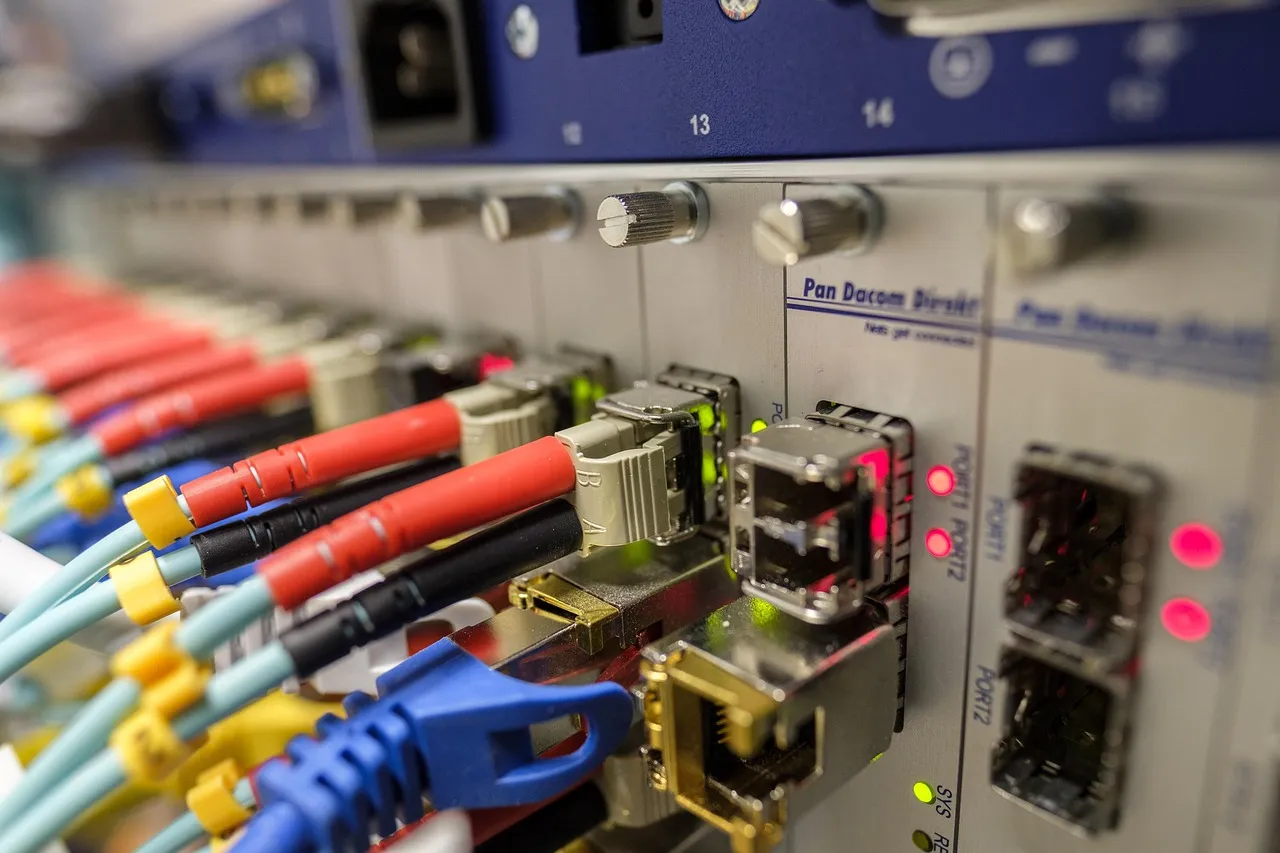A fibre optic patch panel with cables connected to network ports.