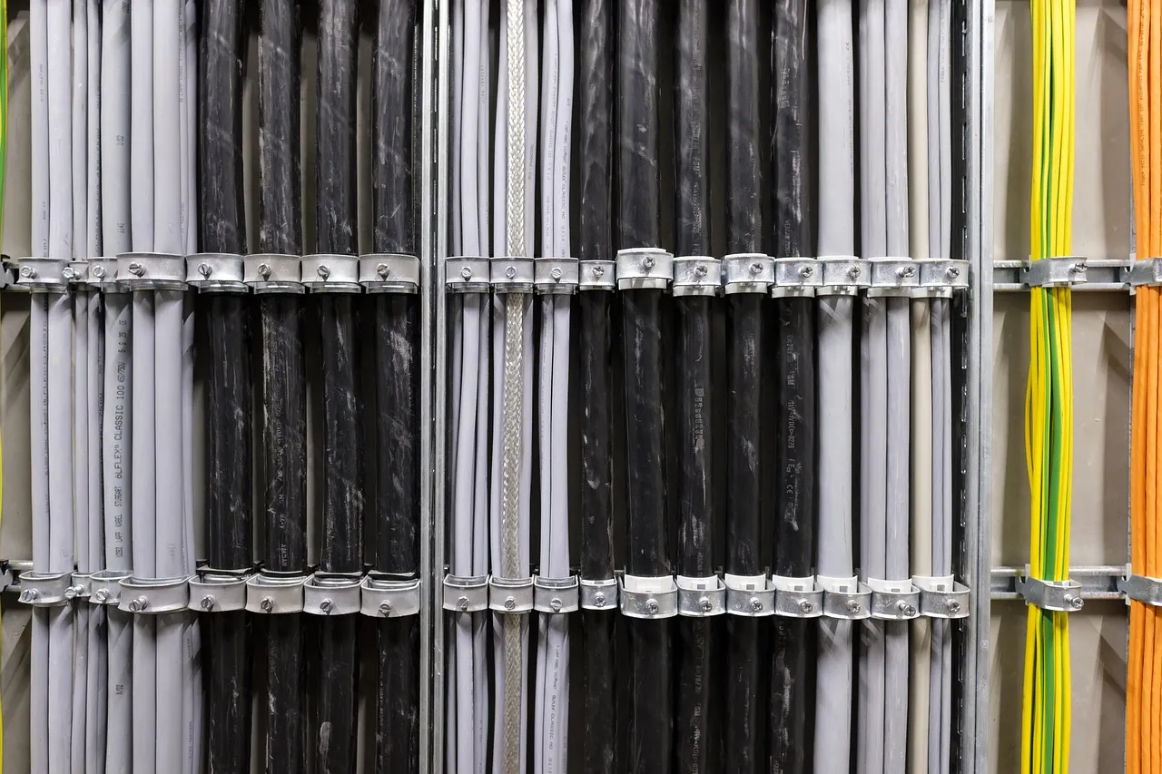 Bundles of cable clipped in rows along a wall-mounted tray — illustrating the shared duct access that decides whether a new operator can build.