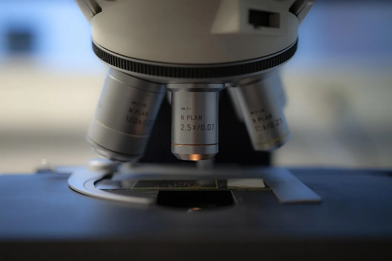 The objective turret of a laboratory microscope above a mounted slide