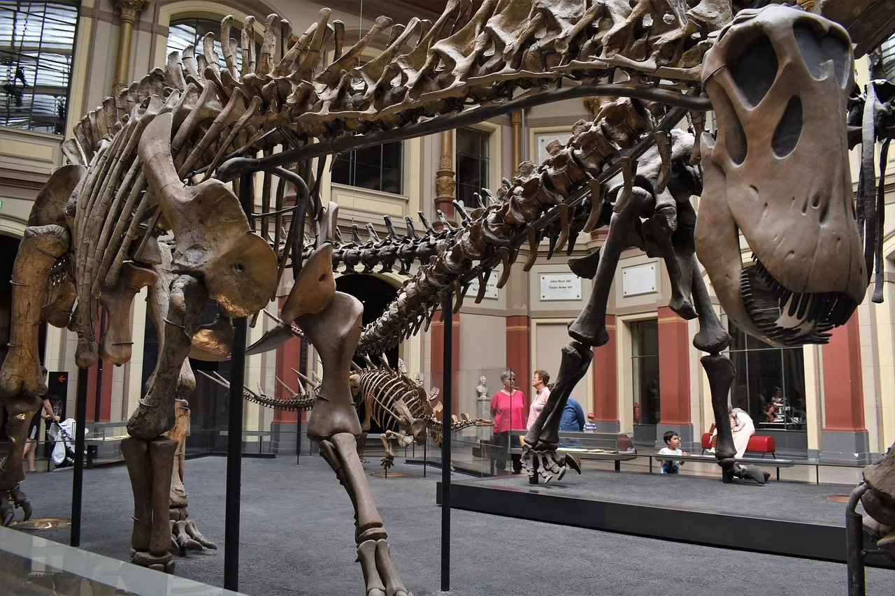 A dinosaur skeleton on display in a museum hall