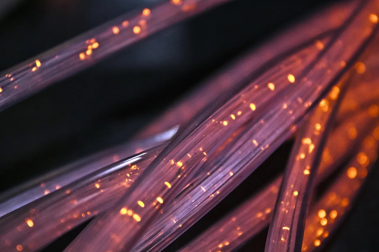 Close-up image of ethernet cables plugged into a network switch, showcasing IT infrastructure.