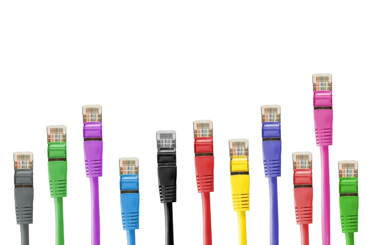 Coloured network patch cables with connectors standing upright against a white background