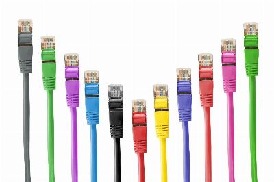 network plug, network cable, cable, patch, patch cord