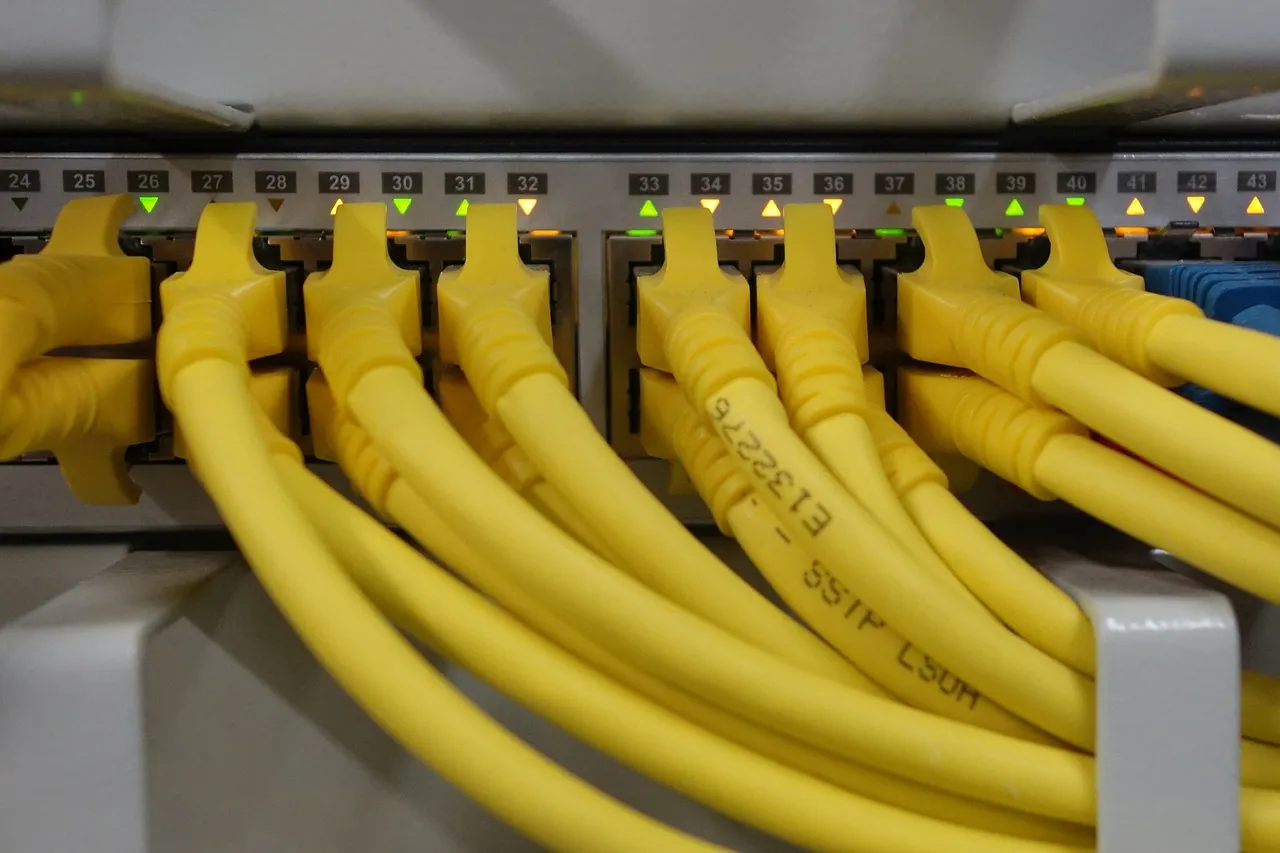 Yellow network patch cables plugged into the numbered ports of a rack-mounted switch