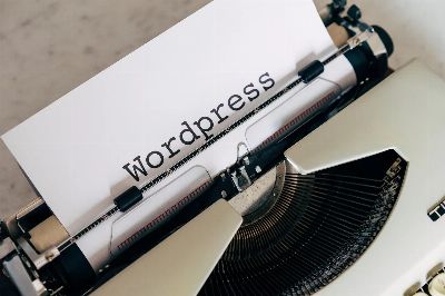 wordpress, blog, software, to blog, content management system