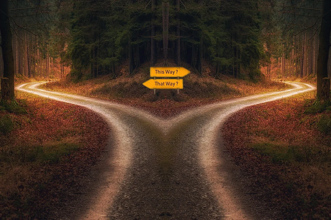 A forest path splitting into two lit trails at a fork